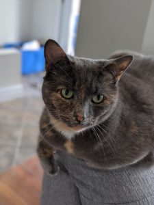 Maya3